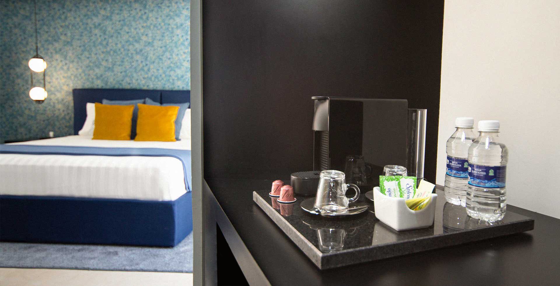 Hotel Roma Conesa